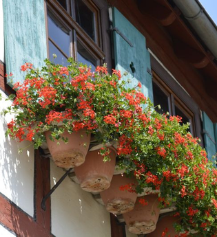 Das Bürgerhaus eines Kaufmanns Kraichtal-Gochsheim | © Foto von Marcel Hasübert