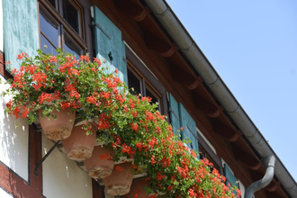 Das Bürgerhaus eines Kaufmanns Kraichtal-Gochsheim | © Foto von Marcel Hasübert