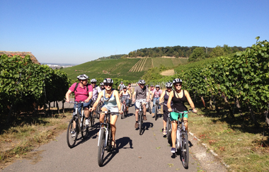 Denis Lauterwasser | Bike-Guide | HeilbronnerLand | © Denis Lauterwasser