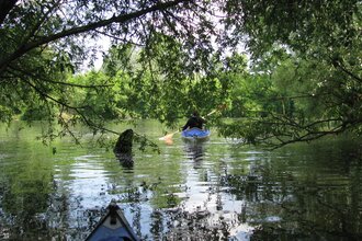 der flusswanderer in Ladenburg | © "derflusswanderer" Ladenburg