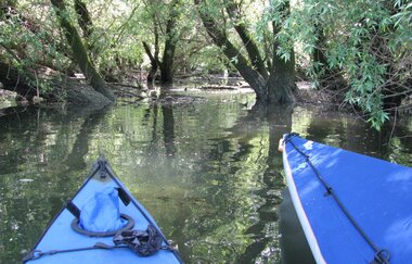 der flusswanderer in Ladenburg | © "derflusswanderer" Ladenburg