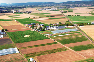 Der Hegehof Ladenburg | © Hegehof Ladenburg