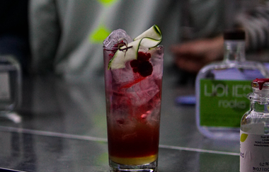 Lioness Rocks | Löwenstein-Hößlinsülz | Destillerie | Cocktails | Mocktails | Brennerei | Tastings | Hofladen | Weinsberger Tal | © Tourismus im Weinsberger Tal e.V.