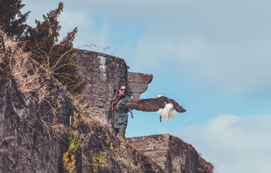 Greifenwarte Burg Guttenberg - Flugvorführungen & Falknerstunden | Haßmersheim  Neckartal | © Burg Guttenberg