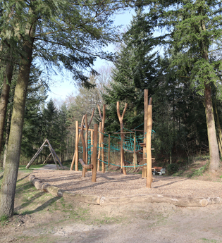 Blick auf ein Klettergerüst zwischen Bäumen