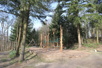 Blick auf ein Klettergerüst zwischen Bäumen