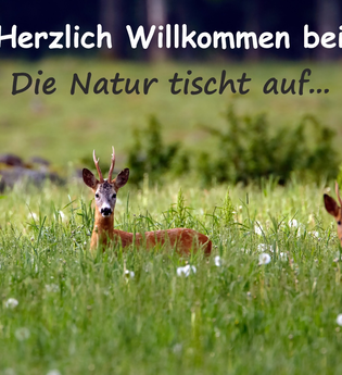 Die Natur tischt auf... GbR | © Liebliches Taubertal