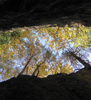 Die Spatschlucht im Weiten Tal bei Schriesheim | © Landratsamt Rhein-Neckar-Kreis