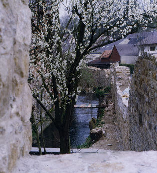 Die Vorstadtmauer mit Eckturm in Kraichtal-Gochsheim | © Land der 1000 Hügel - Kraichgau-Stromberg