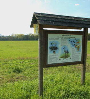 Die Walldörfer Weißstörche | © Beate Otto