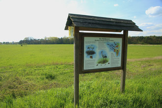 Die Walldörfer Weißstörche | © Beate Otto