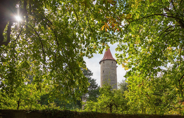 Zu sehen ist ein Turm inmitten von Bäumen | © Stadtverwaltung Crailsheim