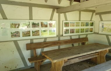 Dippacher Hütte | Rastplatz & Schutzhütte im Hergstbachtal | Möckmühl | HeilbronnerLand | © Stadt Möckmühl