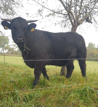 Direktvermarkter Hannes Ort | © Liebliches Taubertal