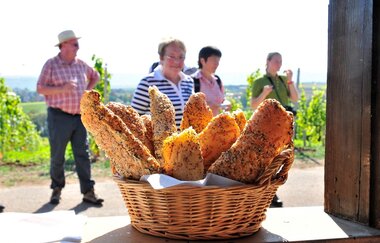 Weinerlebnisführungen in Brackenheim | Dorothee Hönnige | © Neckar-Zaber-Tourismus e.V.
