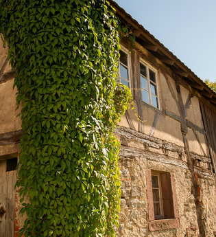 Ehemaliges Kloster Seligental Osterburken-Schlierstadt | © Stadt Osterburken