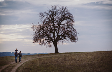 Einkorn Schwäbisch Hall | © Foto: Nico Kurth
