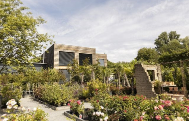 Vielzahl an unterschiedlichen Pflanzen vor dem Café selbst.