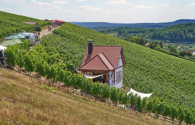 QuerFeldWein | WeinWanderEvent | Erlenbach | HeilbronnerLand | © Tourismus im Weinsberger Tal