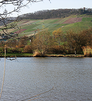 Ensinger See | © Land der 1000 Hügel - Kraichgau-Stromberg