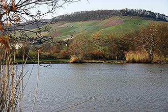 Ensinger See | © Land der 1000 Hügel - Kraichgau-Stromberg