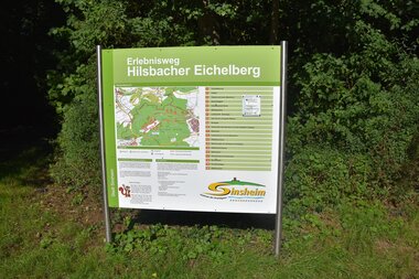 Infotafel zum Erlebnisweg Hilsbacher Eichelberg vor Bäumen