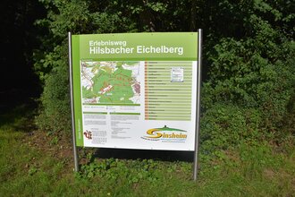 Infotafel zum Erlebnisweg Hilsbacher Eichelberg vor Bäumen