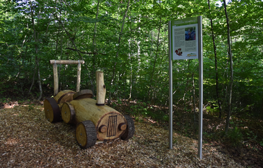 Erlebnisweg Hilsbacher Eichelberg