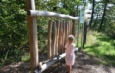 Erlebnisweg Hilsbacher Eichelberg