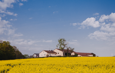 Erlenbacher Ölmühle - Öle & Essige aus eigener Herstellung | Erlenbach | HeilbronnerLand | © Erlenbacher Ölmühle | Stefan Kerner