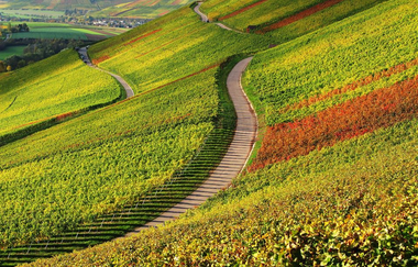 Eschenauer Paradies | Obersulm-Eschenau | HeilbronnerLand | © Tourismus im Weinsberger Tal