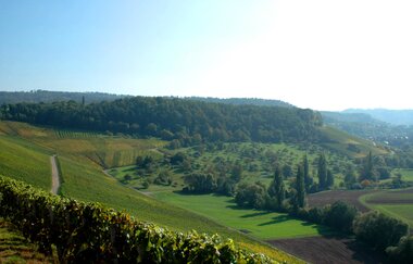 Eschenauer Paradies | Obersulm | Weinsberger Tal | HeilbronnerLand | © Touristikgemeinschaft HeilbronnerLand e.V.