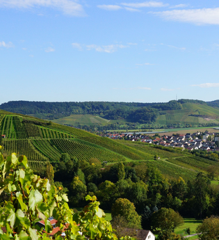 Blick auf´s Eschenauer Paradies | Obersulm | Weinsberger Tal | HeilbronnerLand | © Tourismus im Weinsberger Tal e.V.