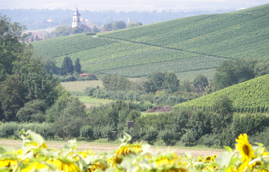 Deinenbachtal | Flein | HeilbronnerLand