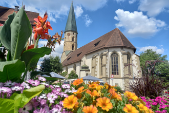evangelische Stadtkirche Gaildorf | © Petra Natzkowski