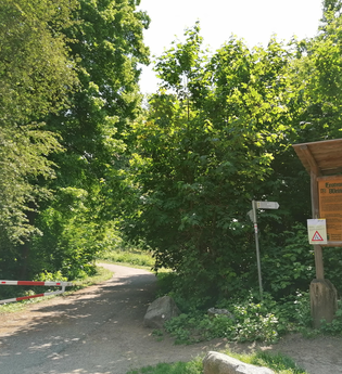 Exotenwald Weinheim | © Tourist Information Weinheim