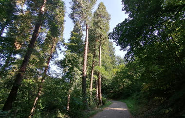 Exotenwald Weinheim | © Tourist Information Weinheim