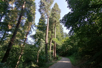 Exotenwald Weinheim | © Tourist Information Weinheim
