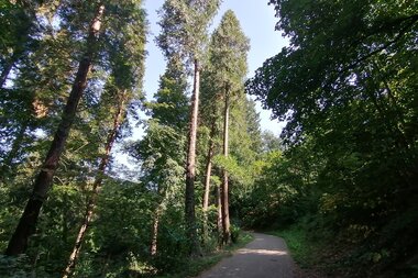© Tourist Information Weinheim