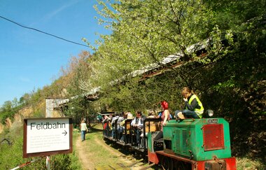 Feldbahn im Steinbruch Leferenz, Dossenheim