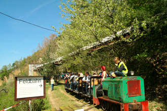 Feldbahn im Steinbruch Leferenz, Dossenheim | © Landratsamt Rhein-Neckar-Kreis