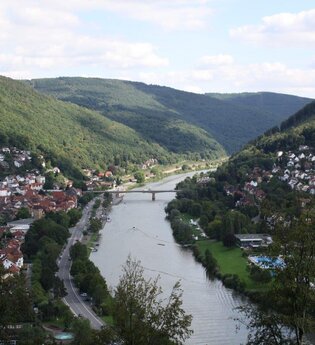 Felsenquelle bei Eberbach (220 m)