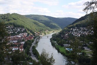 Felsenquelle bei Eberbach (220 m)
