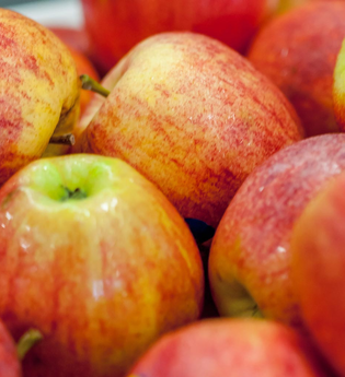 Ferienhof Michaelsberg