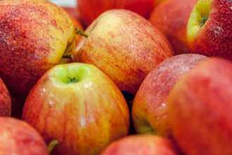 Ferienhof Michaelsberg