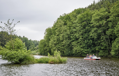 Tretbootverleih am Finsterroter See | Wüstenrot - Naturpark Schwäbisch-Fränkischer Wald | HeilbronnerLand | © Touristikgemeinschaft HeilbronnerLand