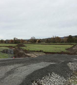 Fischkinderstube zwischen Edingen und Neckarhausen | © Gemeinde Edingen-Neckarhausen