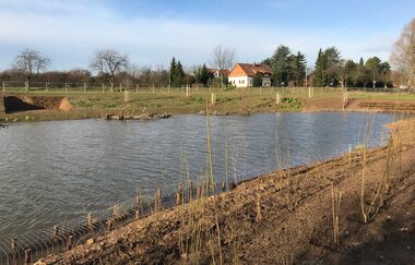 Fischkinderstube zwischen Edingen und Neckarhausen | © Gemeinde Edingen-Neckarhausen