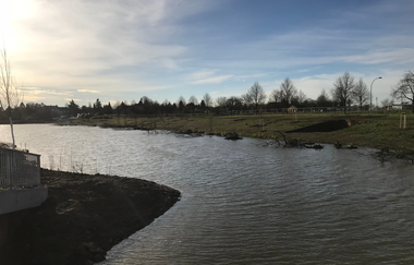 Fischkinderstube zwischen Edingen und Neckarhausen | © Gemeinde Edingen-Neckarhausen