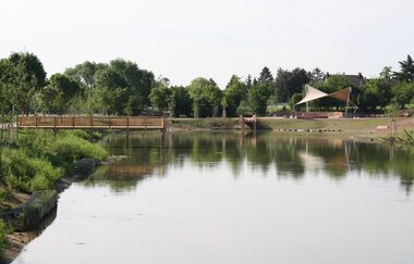 Fischkinderstube zwischen Edingen und Neckarhausen | © Gemeinde Edingen-Neckarhausen